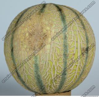 Melon Galia 0007